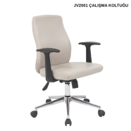 BİOFİS JAVA JV2001 Çalışma Koltuğu