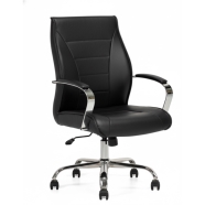 AS ÇELİK OFİS Lion LİON-CLS-101 Çalışma Koltuğu